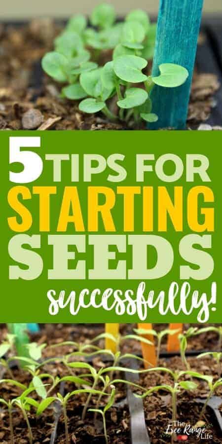 Seed Starting Indoors, Starting Seeds, Starting Seeds Indoors, Starting A Garden, Organic Gardening Tips, Flowers Wallpaper, Easy Garden, Veggie Garden, Planting Herbs