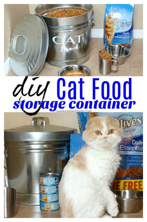 Keep your dry cat food fresh and neat with this DIY Cat Food Storage Container #MorrisKnowsBest #ad #catfood Cat Food Container Ideas, Cat Food Container, Cat Food Storage Ideas, Food Storage Ideas, Diy Cat Food, Chat Diy, Cats Food, Pet Food Storage, Food Memes