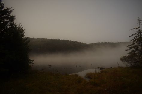 Gloomy Landscape Painting, Forest Fog Aesthetic, Gloomy Fall Aesthetic, Gloomy Landscape, Dark Academia Instagram, Foggy Aesthetic, Iphone Wallpaper Orange, Gloomy Aesthetic, Plains Landscape