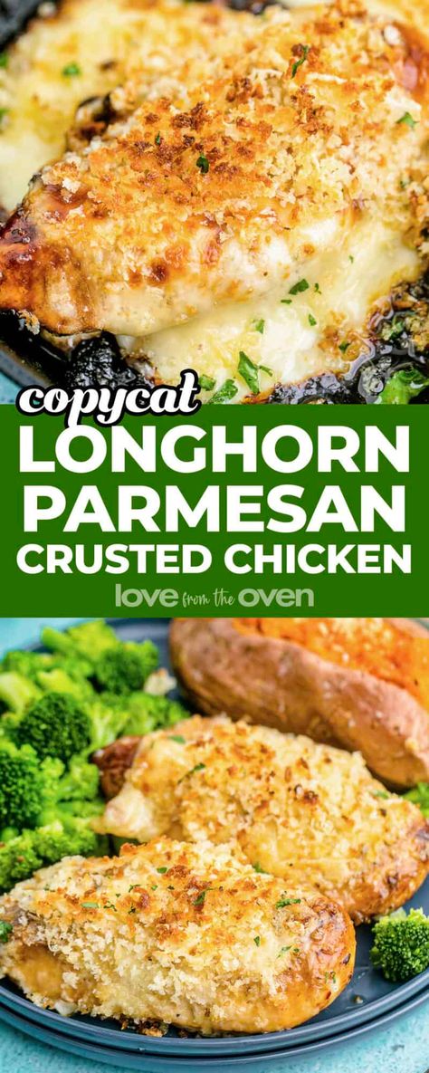 Gluten Free Recipes Chicken Easy Dinners, Chicken Alfredo Parmesan Crusted Chicken, Chicken And Provolone Recipes, Park Crusted Chicken, Longhorn Garlic Parmesan Chicken, Parmesan Crusted Chicken Alfredo, Parmesan Crusted Chicken Sides, Pablo Crusted Chicken, Award Winning Recipes First Place