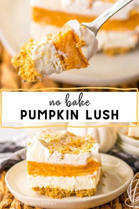 Dive into the fall season with this delicious Pumpkin Lush Dessert! Imagine a pumpkin filling, layered with cream cheese, all on a graham cracker crust. Pumpkin Cream Cheese Layered Dessert, No Bake Pumpkin Lush Pie, Pumpkin Lush Dessert 9x13, No Bake Pumpkin Lush, Pumpkin Pie Cheesecake Truffles, Pumpkin Lush Dessert Recipe, Pumpkin Lush Pie, Pumpkin Dessert Recipes Thanksgiving, Pumpkin Lush Dessert