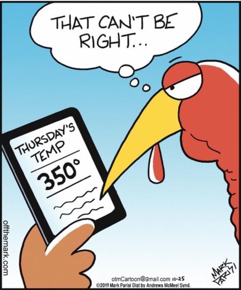 Funny Thanksgiving Pictures, Turkey Jokes, Thanksgiving Meme, Thanksgiving Jokes, Thanksgiving Cartoon, Thanksgiving Pictures, Thanksgiving Images, Happy Turkey Day, Thanksgiving Quotes