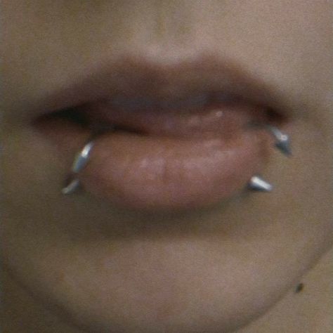 Snakebites And Septum, Grunge Piercings Face, Snake Bites Aesthetic, Snake Bites And Septum, Lip Piercing Aesthetic, Piercing Aesthetic Grunge, Snake Bites Piercing Aesthetic, Piercings Aesthetic Grunge, Guys With Lip Piercings