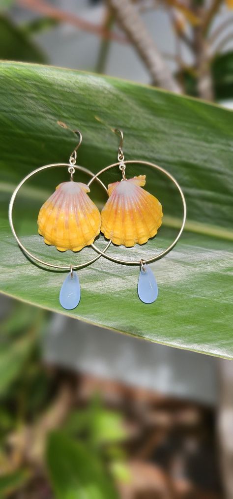 Lahaina Hawaii, Sea Shell Earrings, Sunrise Shell, Dangle Hoop Earrings, Earrings Blue, Shell Earrings, Sea Shell, Gold Hoop Earrings, Blue Glass