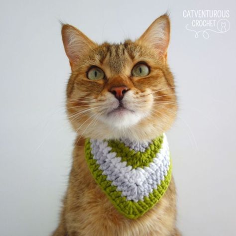 Available for free at Catventurous Crochet on YouTube. Catventurous Crochet: Simple and fun crochet patterns for #fashionablycatventurous kitties. @catventurous.crochet Supermeowdel: Melba @catventurepussmelba Cat Bandana Pattern, Bandana Crochet Pattern, Fun Crochet Patterns, Bandana Crochet, Crochet Cat Hat, Bandana Pattern, Crochet Bandana, Crochet Car, Crochet Hats Free Pattern