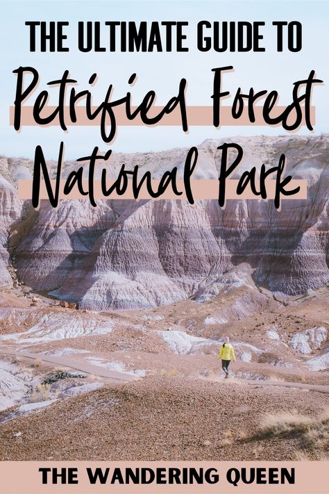 Desert National Park, Rainbow Forest, National Park Map, Petrified Forest National Park, Arizona Vacation, Arizona Road Trip, Painted Desert, Petrified Forest, National Parks Map