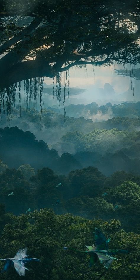 Avatar: The Way of Water wallpaper lockscreen pandora na'vi aesthetic 4k hd atwow Avatar Film, Avatar Poster, Water Wallpaper, Avatar Video, Blue Avatar, Water Icon, Avatar James Cameron, Avatar The Way Of Water, Avatar Films