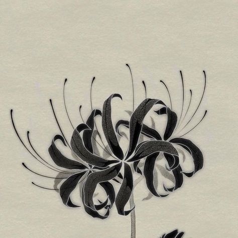 Blue Spider Lily Drawing, Dragon With Spider Lily Tattoo, Spiderlily Drawing Sketches, Spiderlili Tattoo Black, Black Spider Lily Tattoo, Blue Spider Lily Tattoo, Black Spider Lily, Spider Lily Tattoo Design, Spider Lily Drawing