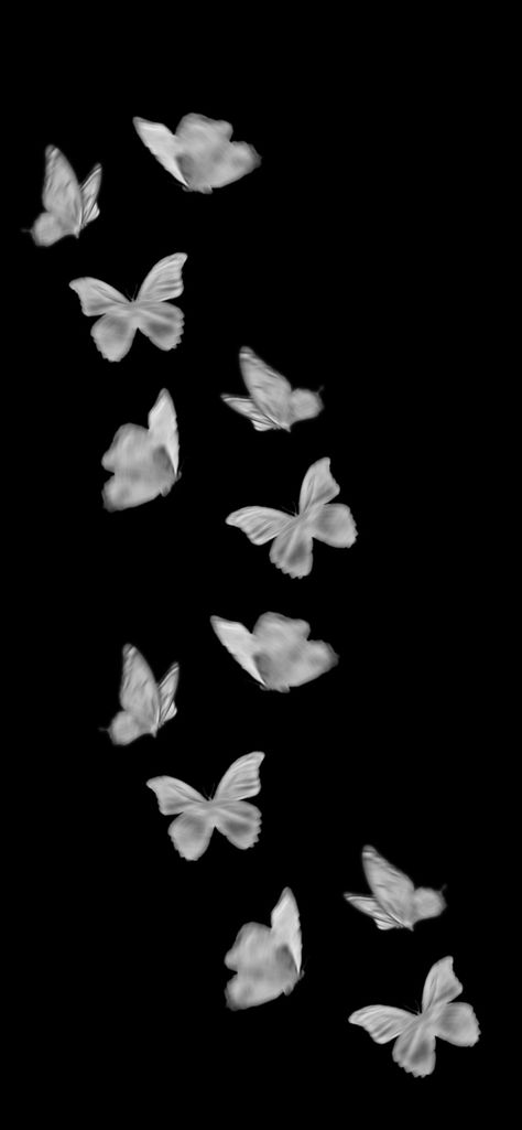 #wallpaper #picsart #iphonewallpapers #iphone #iphone11 #butterfly #butterflies Butterfly Nature Aesthetic, Popular Wallpaper Aesthetic, Butterfly Dark Wallpaper, Black Homescreen Aesthetic, Iphone11 Wallpapers, Butterfly Wallpaper White, Blurry Butterfly, White Butterfly Wallpaper, Iphone Wallpaper Butterfly