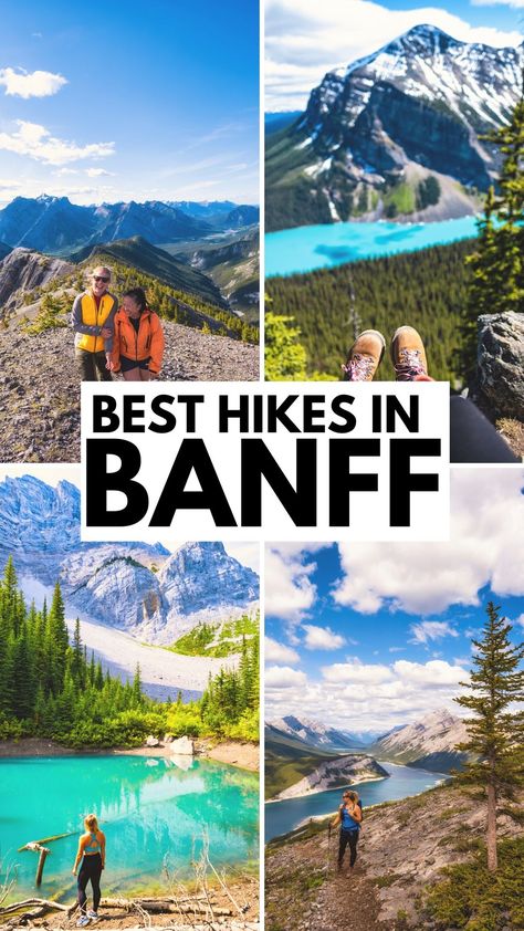 The best hikes in Banff National Park Hiking Banff, Banff Vacation, National Parks Canada, Hiking Alberta, Banff Hiking, Hikes In Banff, Canada Places, Alberta Calgary, Travel Alberta