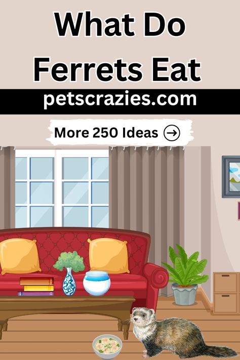 What Do Ferrets Eat, Ferret Treats, Ferret Diet, Ferrets Care, Perfect Diet, Happy And Healthy, Tasty Treats, Explore The World, Target Audience