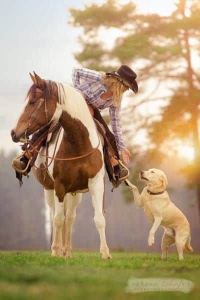 Horse And Dog, Cow Boys, Wilde Westen, Cowgirl And Horse, Western Riding, Horses And Dogs, Clydesdale, Western Horse, Equine Photography