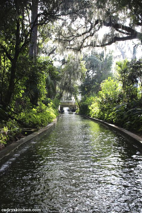 If a person ventures farther than the theme parks, there’s so much more beauty and interest to the Orlando area of Florida than meets the eye. Winter Springs Florida, Winter Park Orlando, Winter Garden Florida, Winter Haven Florida, Winter Park Florida, Orlando Theme Parks, Places In Florida, Orlando Travel, Winter Park Fl