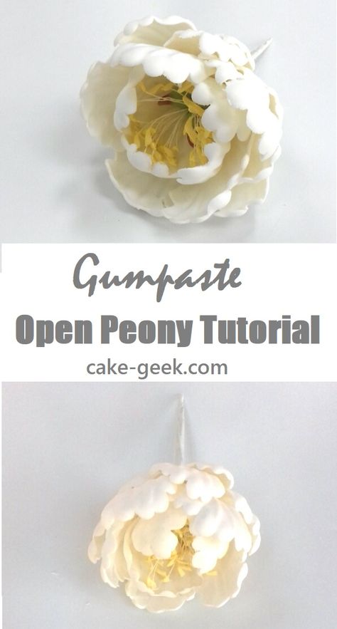 Gum Paste Leaves, Clay Petals Flower Tutorial, Fondant Peony Tutorial, Closed Peony, Gumpaste Peony, Open Peony, Pretty Layers, Peony Tutorial, Gum Paste Flowers Tutorials