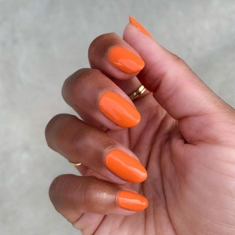 The Mani Club on Instagram: “Woke up feeling like a ten today. Color: You’re A 10” New Nail Polish, Olive And June, Nail Art Kit, Orange Nails, Yellow Nails, Ig Post, Mani Pedi, Light Orange, Nail Trends