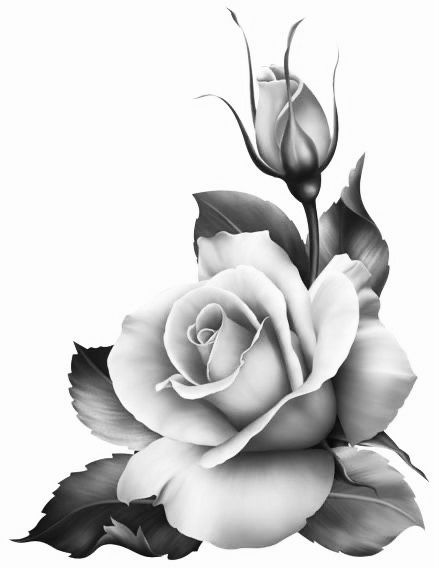 |#tattoo #handtattoo #tattoos #rosetattoo #tattoorose 816 Realistic Rose Drawing, Black And Grey Rose Tattoo, Floral Sketches, Rose Tattoo Stencil, Realistic Flower Tattoo, Rose Reference, Realistic Rose Tattoo, Black And Grey Rose, Rose Flower Tattoos