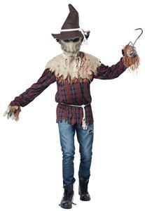 Sadistic Scarecrow Adult Mens Costume - 352714 Adult Halloween Party Ideas Decoration, Adult Halloween Party Ideas, Adult Halloween Party Decorations, Party Ideas Decoration, Halloween Costumes Scarecrow, Scary Scarecrow, Scarecrow Costume, Halloween Scarecrow