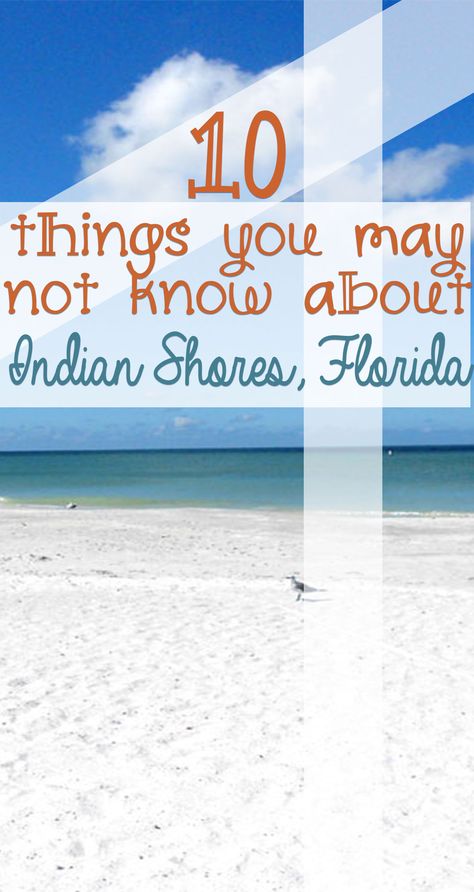 How much do you know about Indian Shores, Florida? We have a few lesser-known facts that will intrigue you. Indian Shores Florida, Beach Vacation Tips, Indian Rocks Beach Florida, Where Is Bora Bora, Clearwater Beach Florida, Florida Travel Guide, Indian Shores, Florida Adventures, Sanibel Island Florida