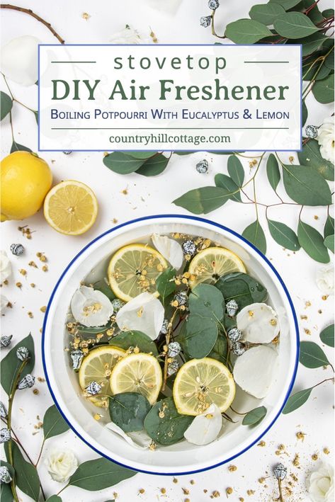 Find out how to make your house smell good naturally with a boiling potpourri. Learn how to make a stovetop air freshener with eucalyptus and lemon and how to deodorizes your entire house. This homemade stove simmer is a DIY air freshener without essential oils is beneficial for the respiratory system and fresh air. Clean smell, great for colds, can be used year round, in spring, summertime, fall and winter. With crockpot instructions storage directions. #airfreshener | countryhillcottage.com Smell Good Naturally, Homemade Stove, Make Your House Smell Good, Air Freshener Recipes, Homemade Potpourri, Simmer Pot Recipes, Stove Top Potpourri, Simmering Potpourri, Homemade Air Freshener