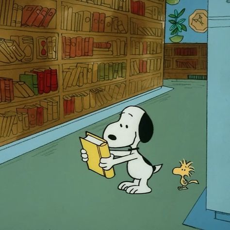 Snoopy visits the library. Full video on the Snoopy Facebook page! 📚 Facebook.com/Snoopy Woodstock Snoopy, Snoopy Funny, Snoopy Images, Snoopy Wallpaper, Snoopy Pictures, Snoop Dog, Joe Cool, The Peanuts, Snoopy Love