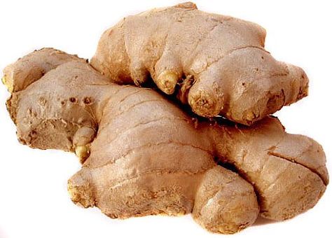 terranean climate and growing in hardiness zone 9+ Ginger Bug, Natural Pain Killers, Gastric Problem, Calendula Benefits, Herbal Elixir, Ginger Syrup, Ginger And Honey, Ginger Root, Lower Cholesterol