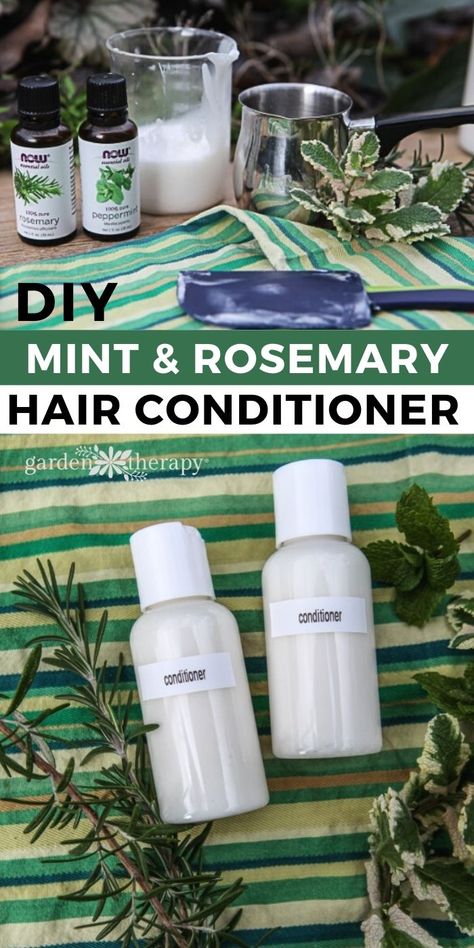 Rosemary Conditioner Diy, Natural Shampoo Recipes For Oily Hair, Homemade Natural Conditioner, Diy Color Safe Shampoo, Make Your Own Shampoo And Conditioner, Natural Hair Conditioner Homemade, Conditioner Recipe Homemade, Diy Conditioner Recipe, Rosemary Shampoo Diy