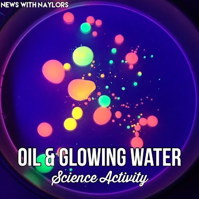 News with Naylor's: Oil & Glowing Water Science Experiment for toddlers and preschoolers. This was so much fun for my three year old AND me. This takes a few minutes to put together for a wow science activity. Letter O Science. Science For Three Year Olds, Letter O Science Experiments, Letter G Science For Preschoolers, Letter O Activities For Toddlers, Preschool Letter O, Letter O Activities For Preschool, Letter O Preschool, Architect Room, Science Experiment For Toddlers