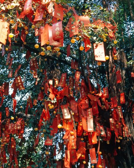 Wishing tree (nazar boncuks, different color ribbons to make the wish, elephant deco to hang on the tree and butterflys). Asian Christmas Tree, Wish Tree Ideas, Christmas In China, Wishes Tree, Chinese Christmas, Chinese Tree, Wish Tree, China Crafts, Ribbon Tree