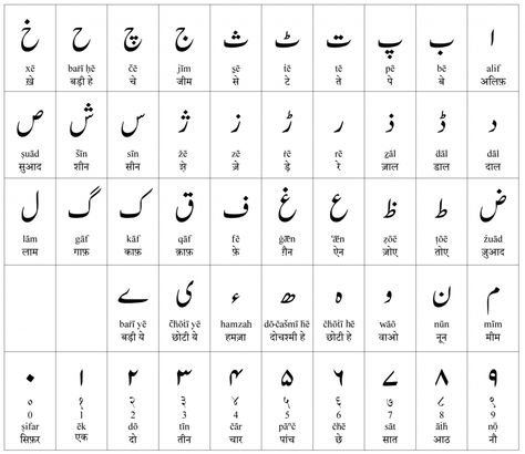 The Urdu Language - Everything You Need to Know Urdu Alphabet, Learning Urdu, Urdu Words With Meaning, Urdu Calligraphy, Hindi Alphabet, Language Urdu, Alphabet Arabe, Sanskrit Language, Arabic Alphabet Letters