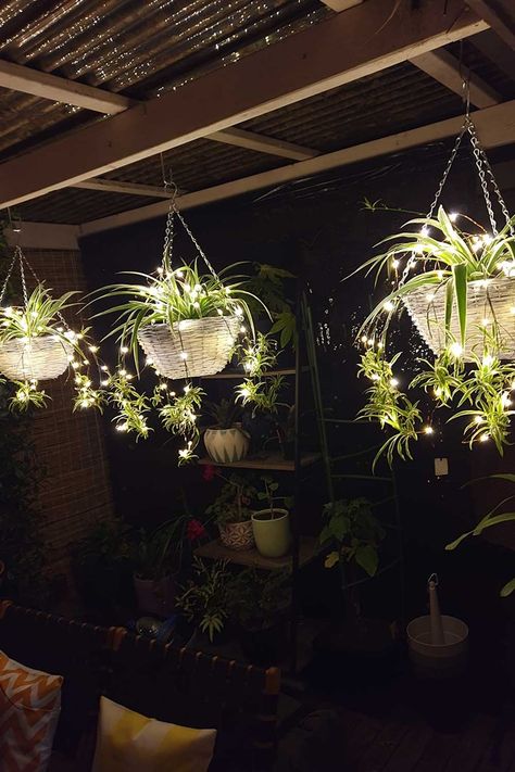 Plants And Lights, Diy Hanging Light, Backyard Garden Landscape, Drought Resistant, Water Usage, House Plants Decor, Edible Plants, Hanging Garden, Diy Hanging