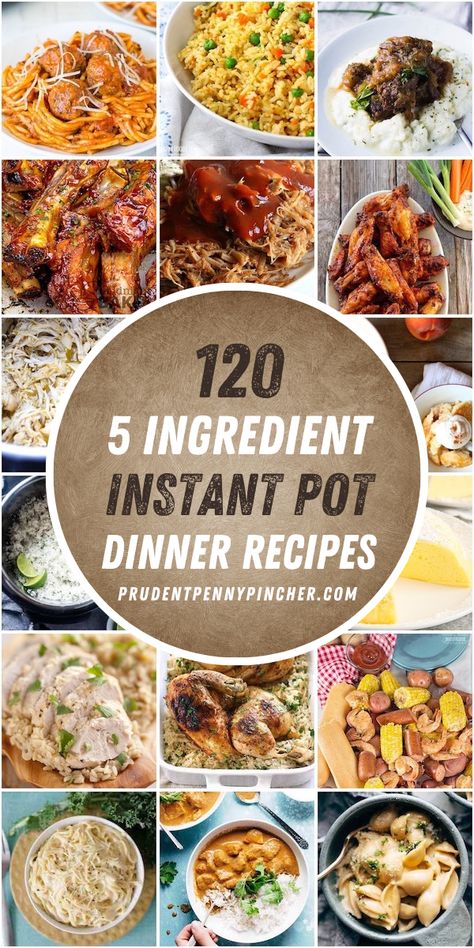 5 Ingredient Instant Pot Recipes, Quick Instant Pot Recipes, Pork Crock, Instant Pot Meals, Instant Pot Recipe, Recipes Instant Pot, Instant Pot Dinner, Easy Instant Pot Recipes, Vegetarian Dinners