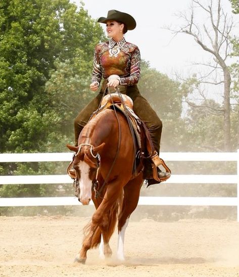 Western Horsemanship, Aqha Horses, Tack Rooms, Western Show Clothes, Ranch Riding, Western Pleasure Horses, Barrel Racing Saddles, Horse Washing, Horse Halters