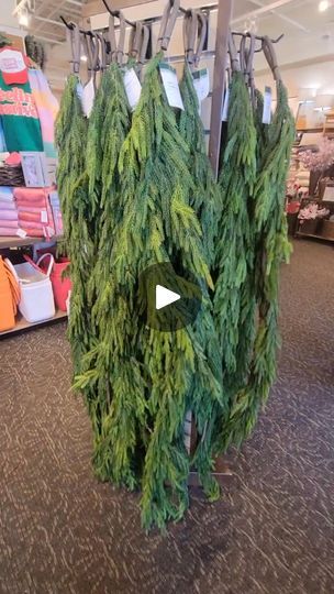 Crosmicopic Store Cedar Garland, Norfolk Pine, Xmas Diy, Norfolk, Christmas Ideas, Lush, Christmas