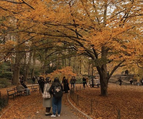 Nyc Fall, Fall Mood Board, Autumn In New York, New York Travel Guide, Beautiful Dark Art, Scenic Routes, Autumn Cozy, Warm Autumn, Autumn Aesthetic