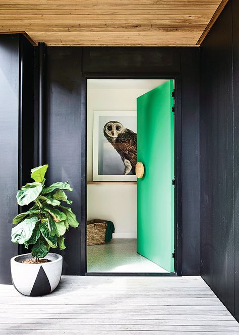 If you're looking to open up your studio, then look no further than these bright hues. Designers share the best paint colors for small spaces. Green Doors, Bold Paint Colors, Green Front Doors, Pintura Exterior, Best Paint Colors, Front Door Colors, Open Door, Australian Homes, Contemporary Interior Design