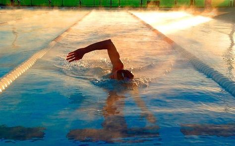 Person Swimming, Hobbies Sports, Swimming Photography, Swimming Photos, Morning Practice, Swimming Motivation, Swimming Pictures, I Love Swimming, Swimmers Life