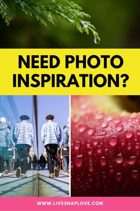 In need of some photo inspiration? Then check this out! You'll learn the types of photography projects you can do that will give you daily inspiration, how to draw creative inspiration from your own daily life, the different genres of photography you can do, and ideas for photos you can take in and around your home, or in everyday locations! How To Take A Photo Of Flowers, Photography Rates, Photo A Day Challenge, Creativity Exercises, Photography Journey, Finding Inspiration, Photography Tips For Beginners, Composition Photography, Child Photography