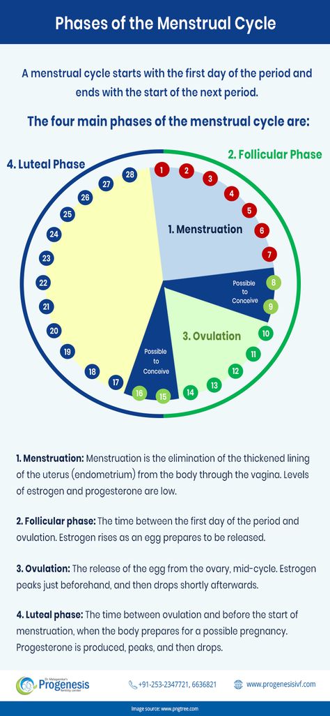 30 Day Menstrual Cycle Chart, Female Reproductive Cycle, Menstrual Cycle Phases Discharge, Discharge Female Chart Cycle, Reproductive Health Notes, Discharge Female Chart, Phases Of Menstrual Cycle, Cycle Awareness, Menstrual Cycle Chart