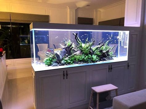 Tank Aquariums, Large Fish Tanks, Wall Aquarium, Coral Reef Aquarium, Small Fish Tanks, Fish Tank Design, Underwater Plants, Nature Aquarium, Aquarium Ornaments