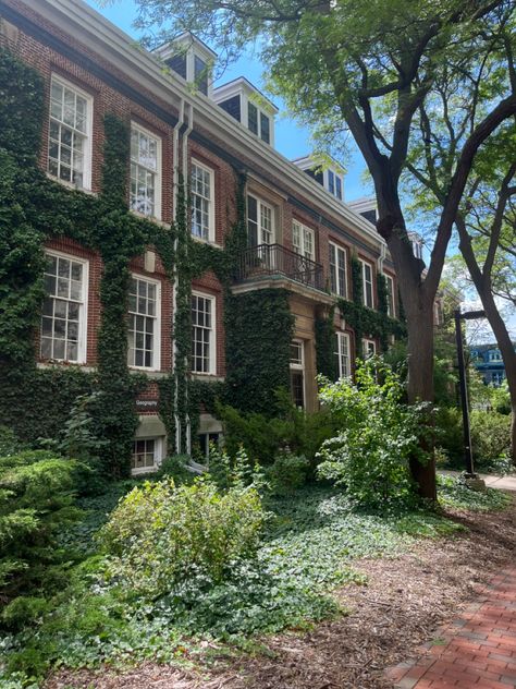 Beautiful brick building covered in Ivy English style building countryside Guelph University, Brick Road, Old Bricks, Brick Walls, American Universities, The Brick, Brick Wall, Ivy, University