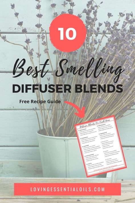 10 Essential Oil Blends For A Great Smelling Home Oil Diffuser Blends House Smells, Best Essential Oil Blends To Diffuse, Fresh And Clean Diffuser Blends, Clean Smelling Diffuser Blends, Clean Home Diffuser Blend, Clean House Diffuser Blend, Best Smelling Essential Oils, Best Diffuser, Essential Oil Combinations