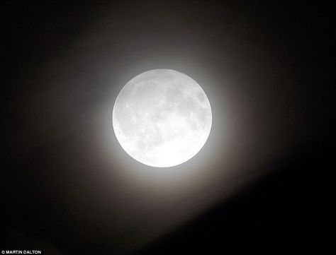 In other parts of the UK (pictured in Essex) the moon glowed eerie and bright without a cloud in the sky to darken its glow Moon Lunar Eclipse, Moon Lights, Glowing Moon, Moon Eclipse, White Moon, Moon Pictures, Lunar Eclipse, Harvest Moon, The Harvest