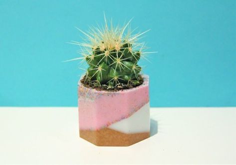 Etsy Feature – DIY Resin Planter for Mini Cacti – Home and Garden Resin Planters Diy, Cute Pots, Planters Diy, Polymer Clay And Resin, Clay And Resin, Resin Planters, Cheer Party, Giving People, Mini Cactus