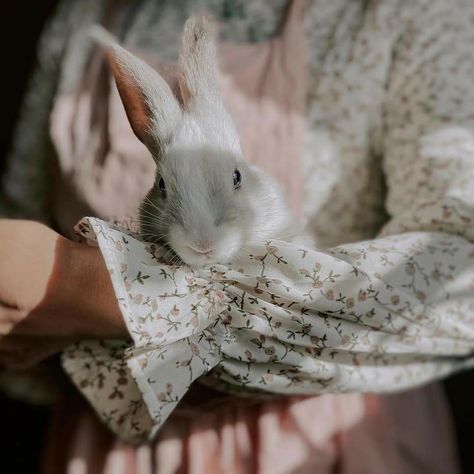 Jesus Is Calling, Bouidor Photography, Easter Week, A Darker Shade Of Magic, Muslim Images, Beautiful Names, Some Bunny Loves You, Year Of The Rabbit, Cute Doodle Art