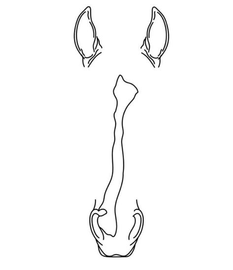 Horse Face Marking Outline Tattoo, Horse Ear Tattoo Outline, Simple Horse Shoe Drawing, Horse Profile Tattoo, Horse Blaze Outline Tattoo, Horse Line Tattoo Simple, Horse Face Line Tattoo, Equine Tattoo Small, Barrel Racing Tattoos Ideas