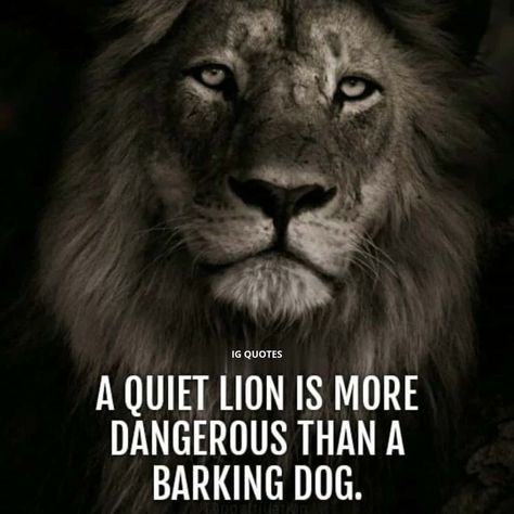 IG QUOTES | A quiet lion is more dangerous than a barking dog. . . . Follow (@igquotes51 ) more. | Instagram Dangerous Quotes, Ig Quotes, Viking Quotes, Leo Quotes, Lion Quotes, Barking Dog, King Quotes, Powerful Bible Verses, Bible Promises