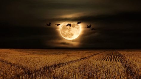 Full Moon 2023, October Full Moon, Moon Aries, Full Moon Photos, Moon 2023, May Full Moon, Next Full Moon, Autumnal Equinox, Calendar Icon