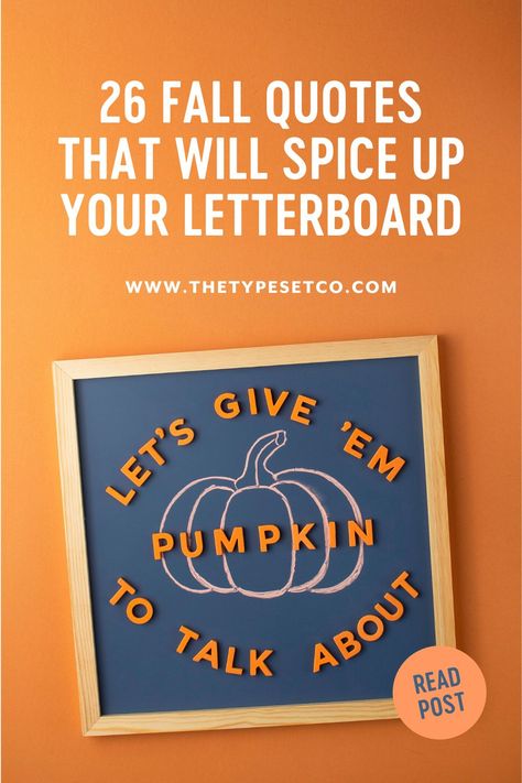 Wait, is that pumpkin-spiced hummus? Well then it must be fall! Take a look at these fresh and fun fall quote ideas for your letter board to celebrate the changing of the seasons. Cute Letter Board Ideas Funny, Fall Reader Board Sayings, Autumn Letterboard Quotes, Pumpkin Letterboard Quotes, Letter Boards For Fall, Funny Fall Quotes Autumn, Fall Board Quotes, Pumpkin Spice Letterboard Quotes, Letter Board Quotes For Fall