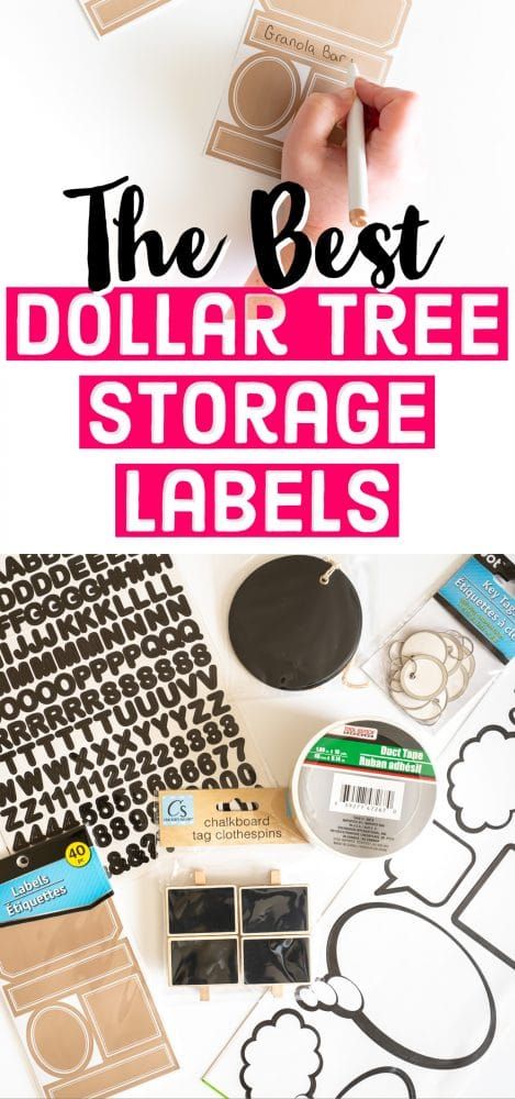 Home Organization | Storage Ideas | Storage Labels | Cheap Organizing Ideas | Dollar Tree Storage Solutions Diy Labels For Storage Bins Garage, Labels For Organizing Bins, How To Label Storage Bins, Diy Labels For Storage Bins, Cheap Organizing Ideas, Labels For Storage Bins, Polished Habitat, Moving Box Labels, Dollar Tree Storage Bins