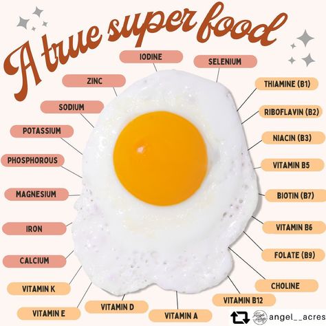 𝗔𝘀𝗵 (𝗣𝗵𝗗) & 𝗦𝗮𝗿𝗮𝗵 (𝗜𝗜𝗡,𝗣𝗡,𝗖𝗣𝗧) on Instagram: “Eggs are one of the most nutrient dense foods, containing most of the essential Vitamins & Minerals. In fact, a whole egg contains all of…” Foods With Iodine, Egg Nutrition Facts, Nutrient Dense Foods, Most Nutrient Dense Foods, Fat Soluble Vitamins, Eating Eggs, Mango Recipes, Good Sources Of Protein, Health Planner